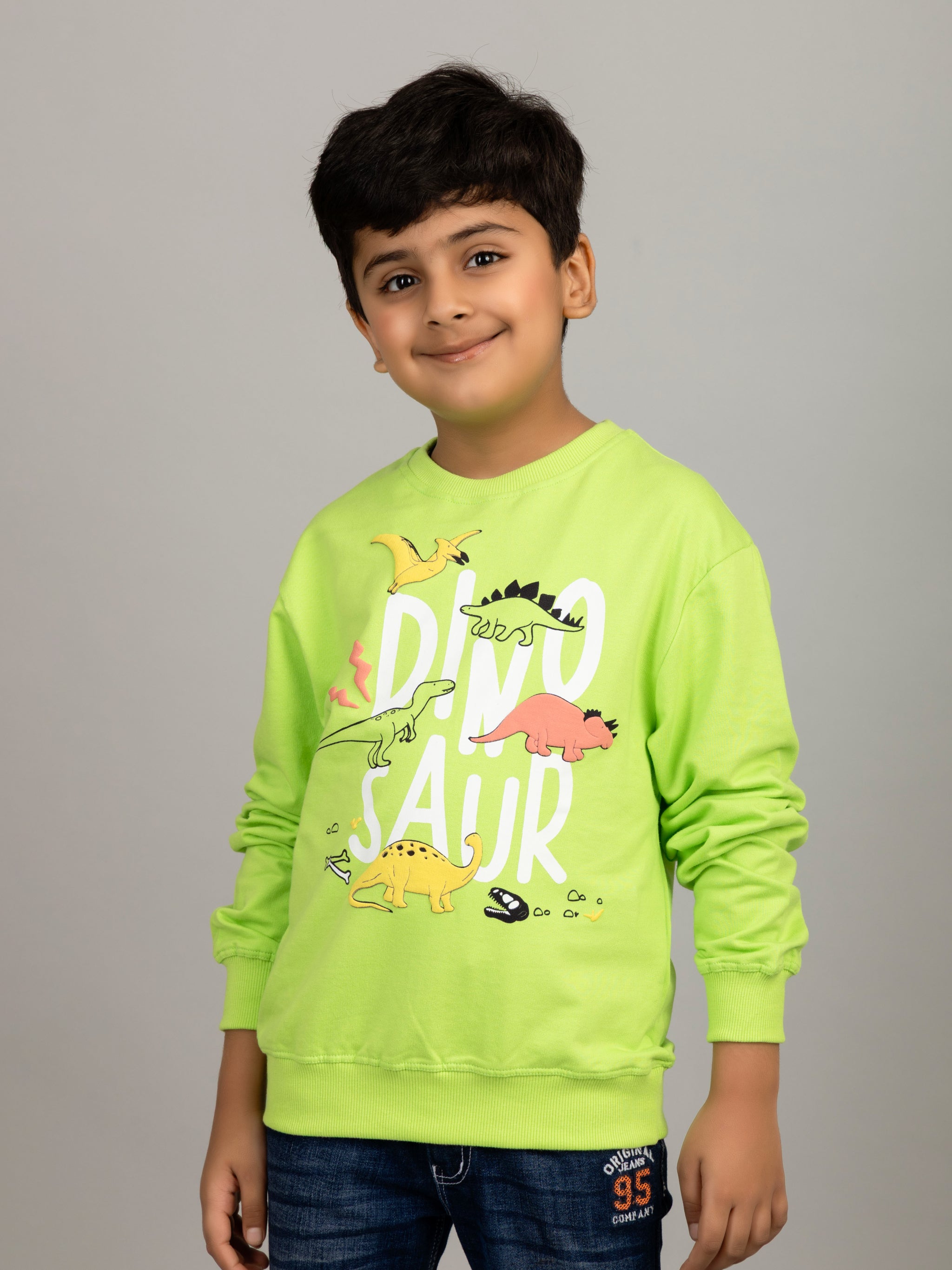 Boys Neon Color Dinosaur Puff Print Sweatshirt