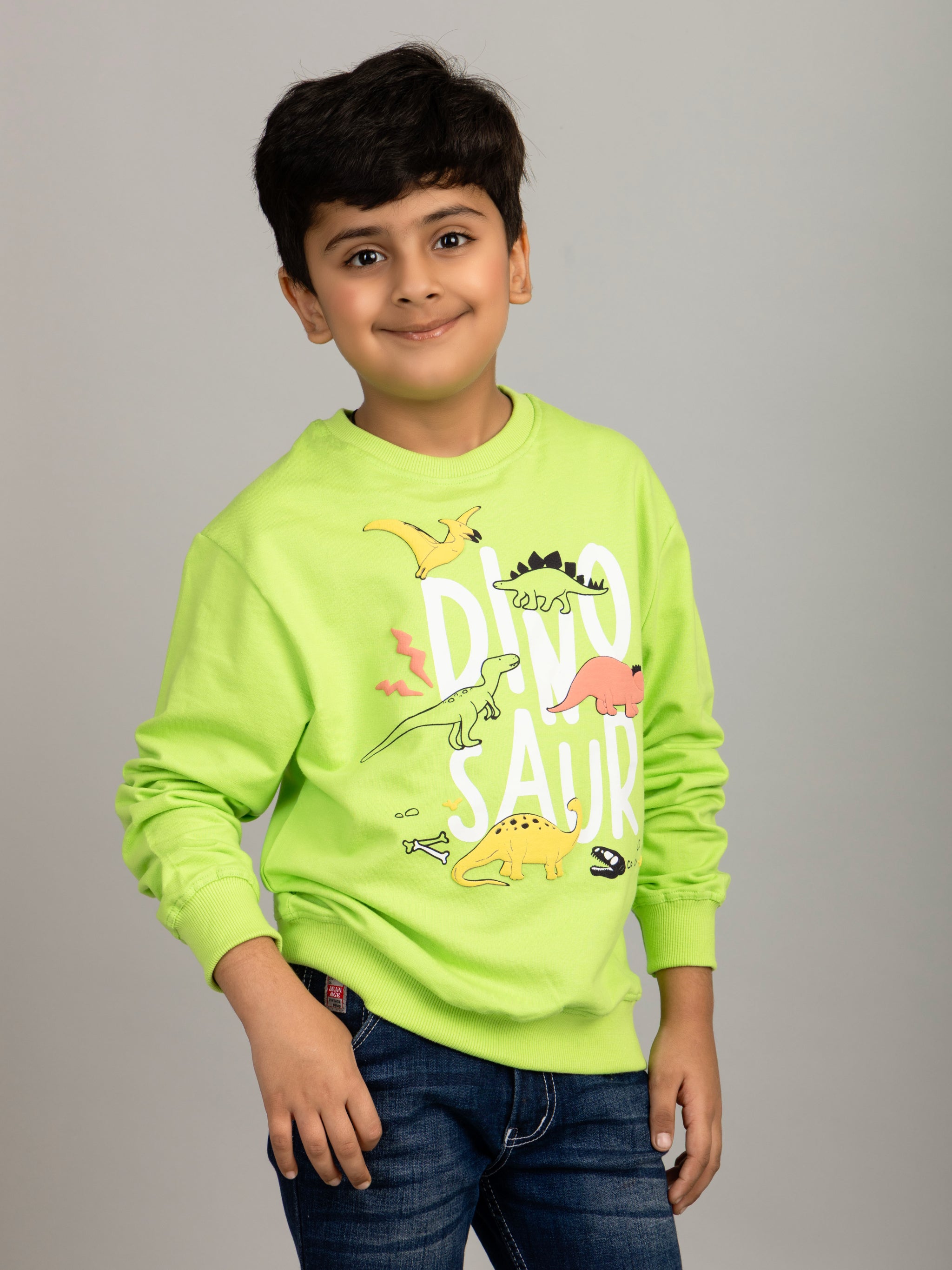 Boys Neon Color Dinosaur Puff Print Sweatshirt