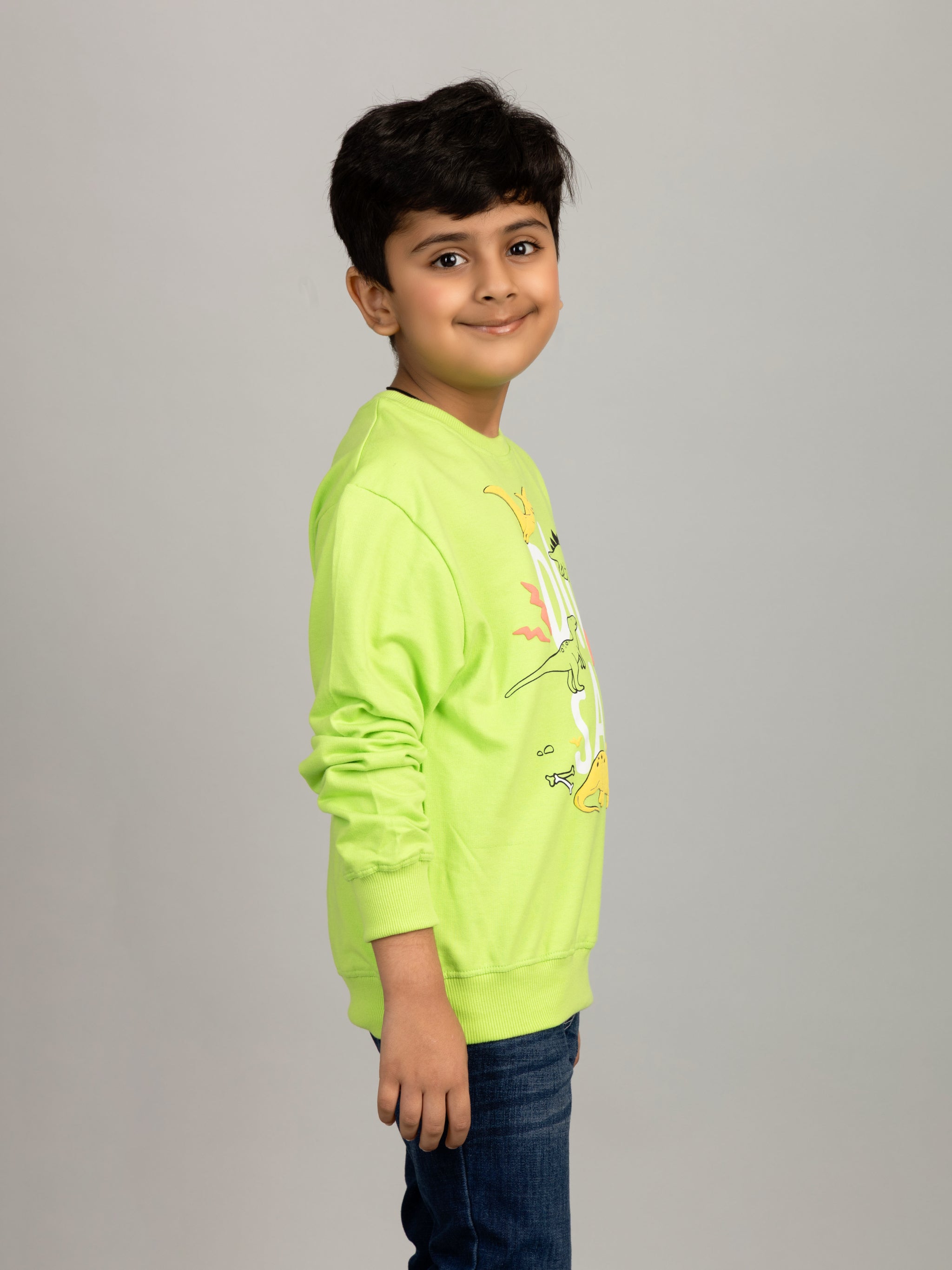 Boys Neon Color Dinosaur Puff Print Sweatshirt