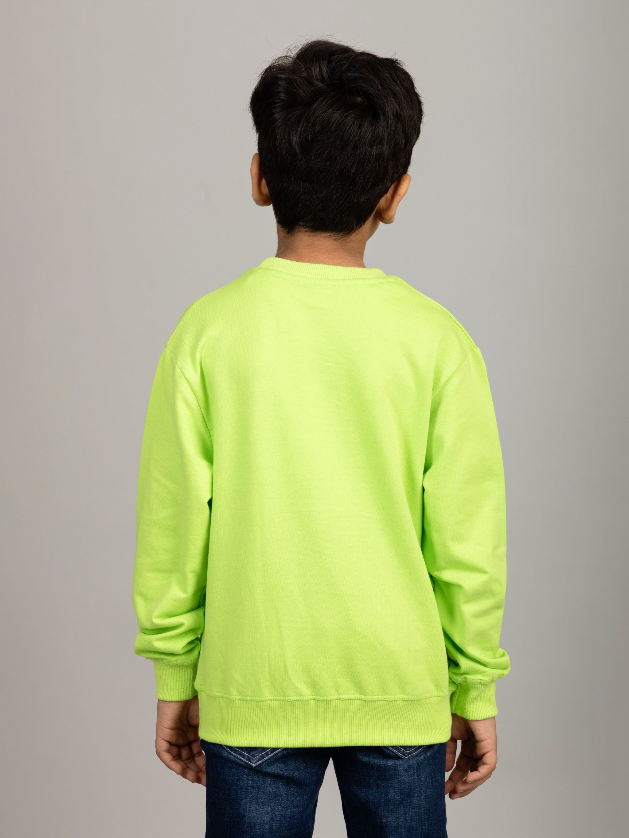 Boys Neon Color Dinosaur Puff Print Sweatshirt