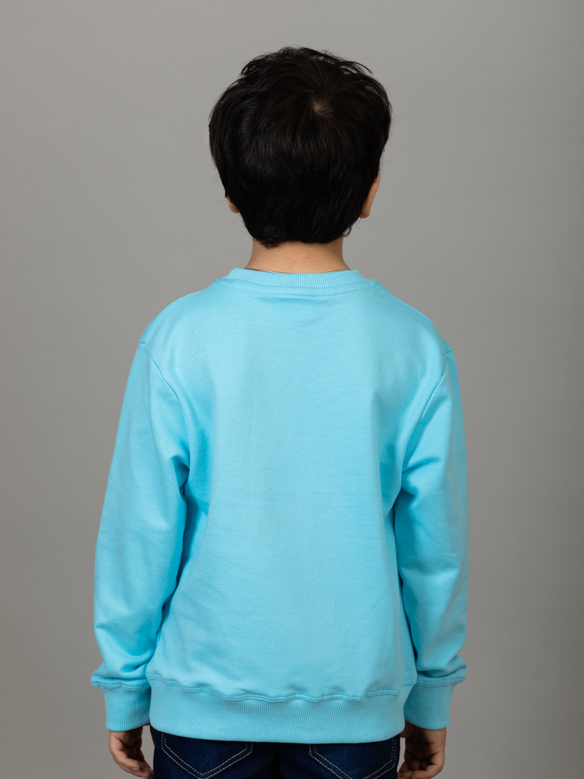 Boys Sky Blue Joyful Penguins Print Sweatshirt